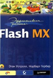 Эффективная работа Flash MX